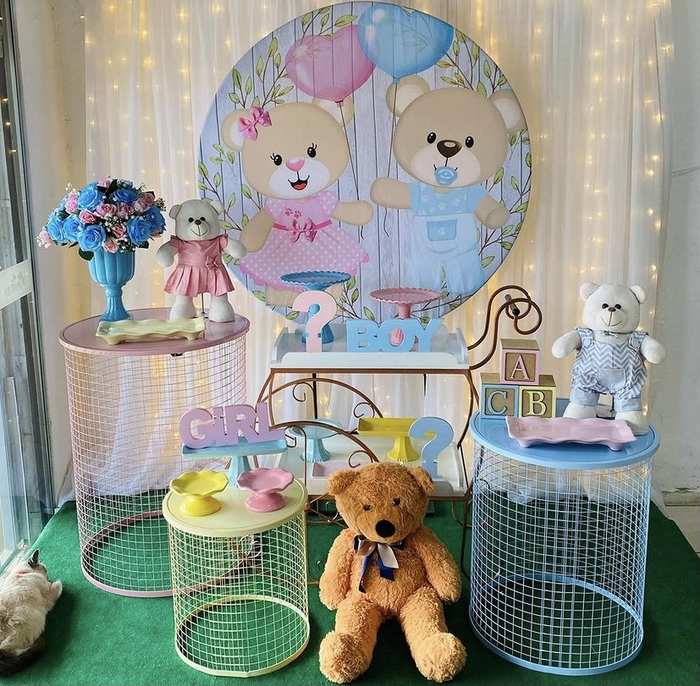 Tema Chá Revelação