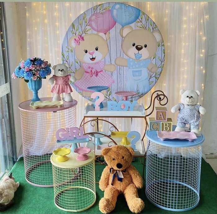 Tema Chá Revelação