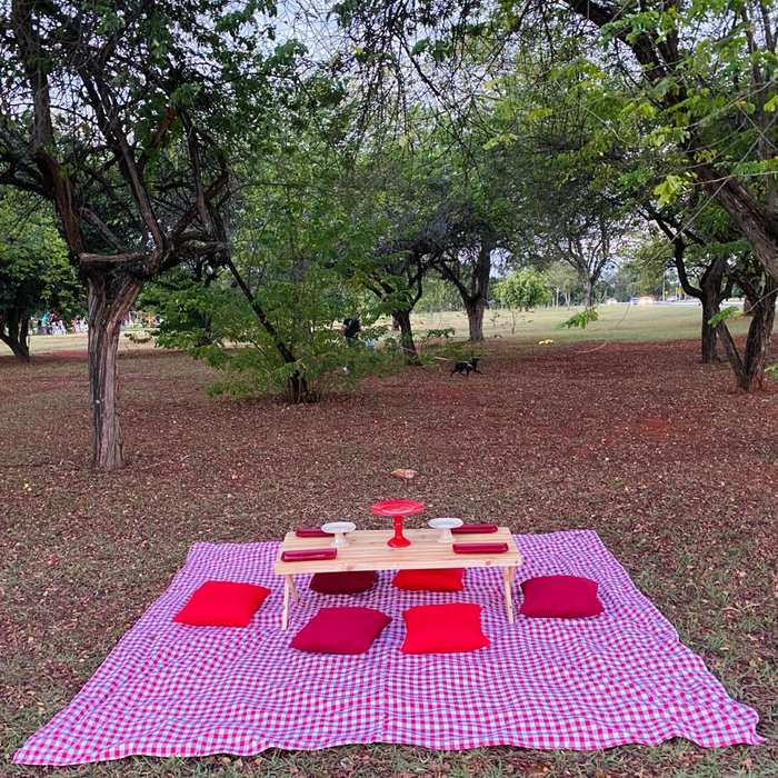 Tema Picnic